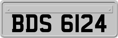 BDS6124