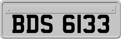 BDS6133