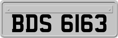 BDS6163