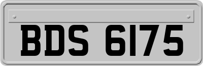 BDS6175
