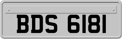 BDS6181