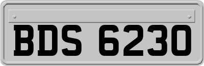 BDS6230