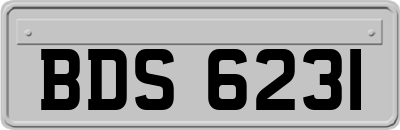 BDS6231