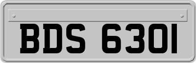 BDS6301