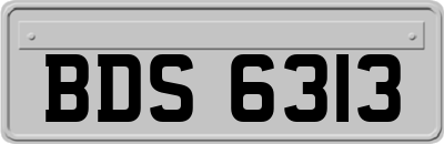 BDS6313