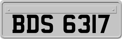 BDS6317