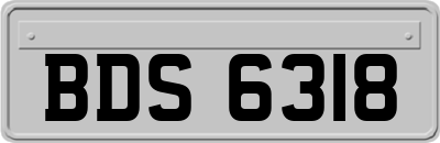 BDS6318