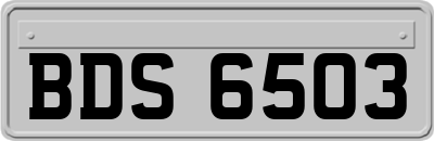 BDS6503