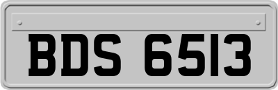 BDS6513