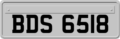 BDS6518