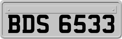 BDS6533