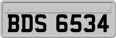 BDS6534