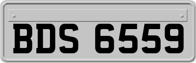 BDS6559