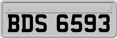 BDS6593