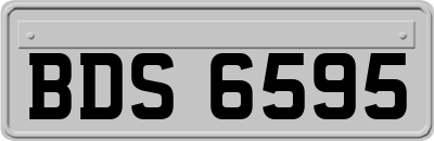 BDS6595