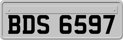 BDS6597
