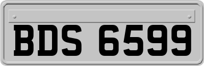BDS6599