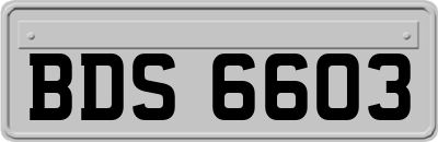 BDS6603