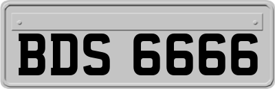 BDS6666
