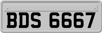 BDS6667