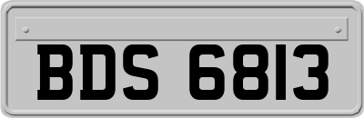 BDS6813