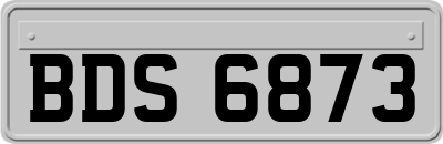 BDS6873