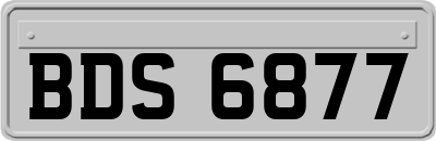 BDS6877