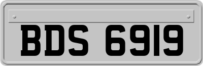 BDS6919