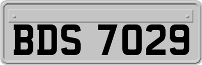 BDS7029