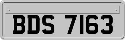 BDS7163