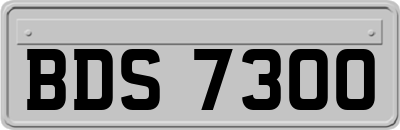 BDS7300