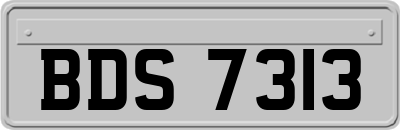BDS7313