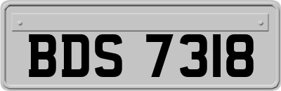 BDS7318