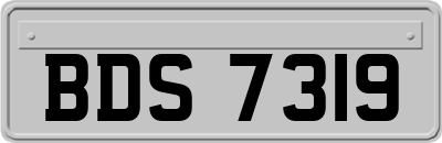 BDS7319