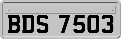 BDS7503