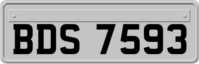 BDS7593
