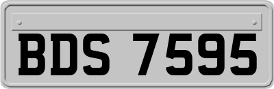 BDS7595