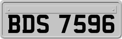 BDS7596