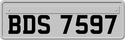 BDS7597