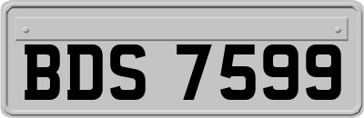BDS7599