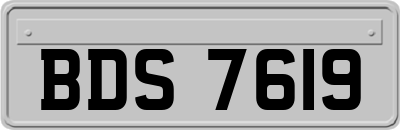 BDS7619