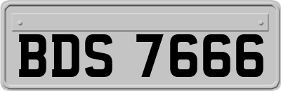 BDS7666