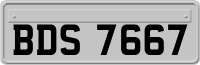 BDS7667