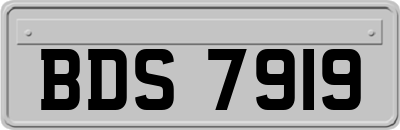 BDS7919