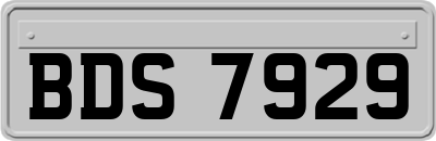 BDS7929