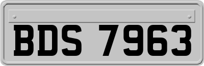 BDS7963