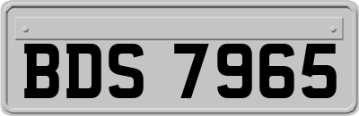 BDS7965