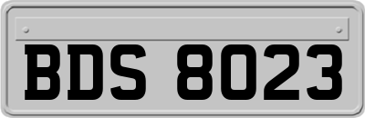 BDS8023