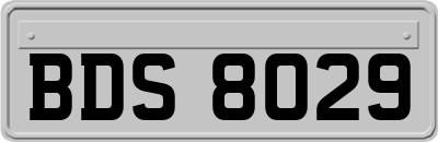 BDS8029