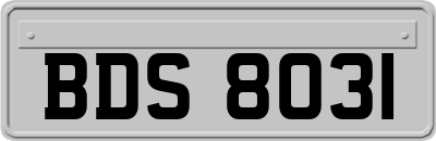 BDS8031